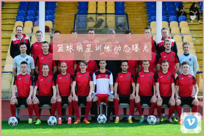 篮球明星训练动态曝光