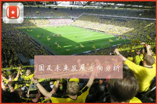 国足未来发展方向分析